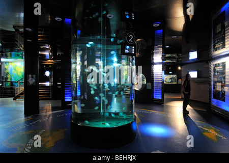 Interno del National Sea Center Nausicaä, Boulogne-sur-Mer, Pas-de-Calais, Francia Foto Stock