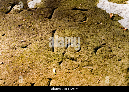 Età della parola incisa su un oggetto contrassegnato per la rimozione definitiva Foto Stock