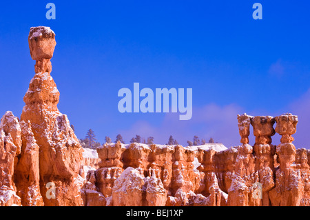 La luce del mattino e di polvere fresca su Thor's Martello e hoodoos al di sotto del punto di Sunrise, Parco Nazionale di Bryce Canyon, Utah Foto Stock