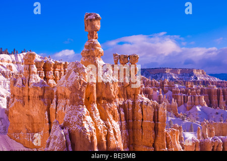 La luce del mattino e di polvere fresca su Thor's Martello e hoodoos al di sotto del punto di Sunrise, Parco Nazionale di Bryce Canyon, Utah Foto Stock