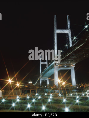 Yokohama Bay Bridge illuminata di notte, Yokohama, nella prefettura di Kanagawa, Giappone Foto Stock