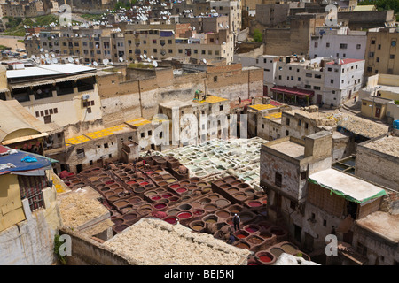 Concerie tradizionali Fez Marocco Foto Stock