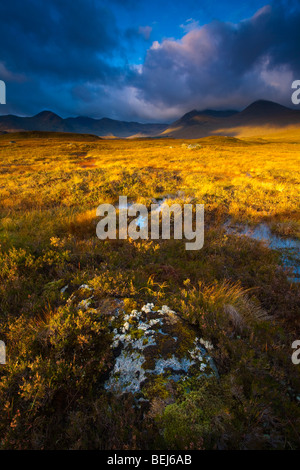 La Scozia, Highlands scozzesi, Rannoch Moor. La mattina presto il sole sul Rannoch Moor con la vetta del Monte Nero a distanza Foto Stock