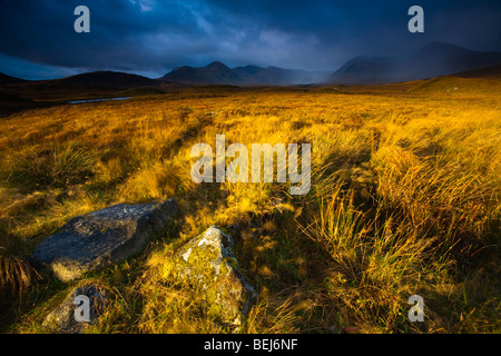 La Scozia, Highlands scozzesi, Rannoch Moor. La mattina presto il sole sul Rannoch Moor con la vetta del Monte Nero a distanza Foto Stock