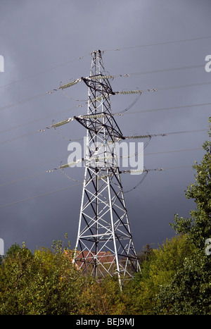 Elettricità pilone con alloggiamento al di sotto Foto Stock