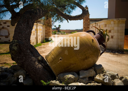 Tenute Al Bano Carrisi, Cellino San Marco, Puglia, Italia Foto Stock