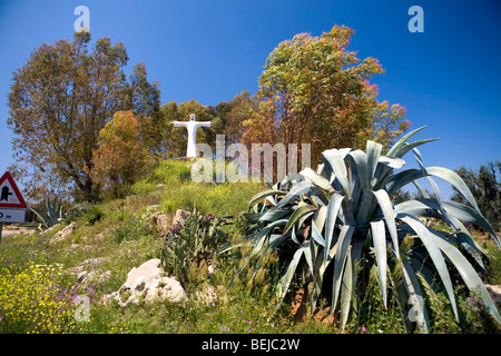 Tenute Al Bano Carrisi, Cellino San Marco, Puglia, Italia Foto Stock