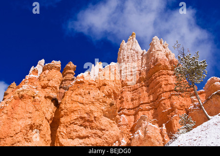 Le formazioni rocciose e di polvere fresca lungo il Navajo Loop, il Parco Nazionale di Bryce Canyon, Utah Foto Stock