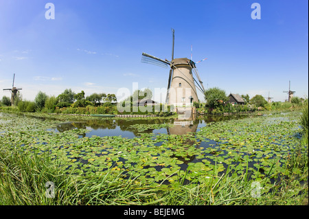 Kinderdijk, mulini a vento, Paesi Bassi Foto Stock
