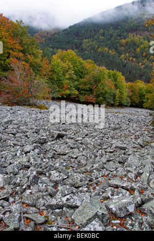 Ghiaione nella Sierra de Cebollera Parco naturale Foto Stock