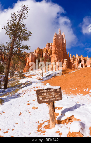 Segnavia e di polvere fresca lungo la Queens Garden Trail, Parco Nazionale di Bryce Canyon, Utah Foto Stock