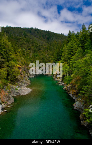 Smith fiume che scorre attraverso la foresta canyon del Norte County, California Foto Stock