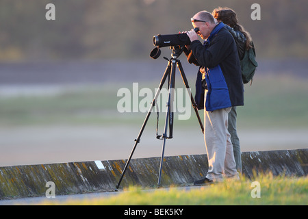 Gli amanti del birdwatching con telescopio orologi uccelli nella riserva naturale, Belgio Foto Stock