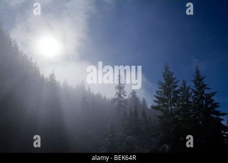 Sole che splende attraverso la nebbia sulla montagna. Foto Stock