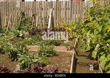 Una tipica del XVIII secolo francese giardino visualizzati al ricostruito fortezza Louisbourg in Nova Scotia, Canada. Foto Stock