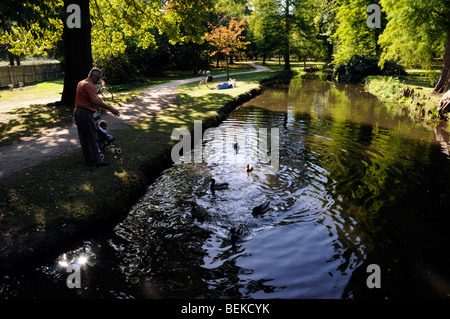 Nonno alimenta le anatre con il piccolo bambino nel passeggino in piccolo stagno sotto la tettoia di alberi, Surrey. Foto Stock