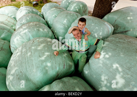 Ritratto di un maschio di agricoltore e figlio in piedi tra le balle di fieno coperti con politene verde, Veneto, Italia Foto Stock