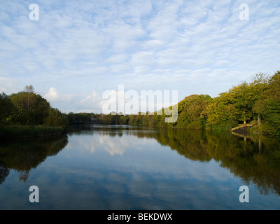 Un tranquillo pomeriggio al secondo laghetto presso la station wagon Gnoll Country Park in Neath Port Talbot Wales UK Foto Stock