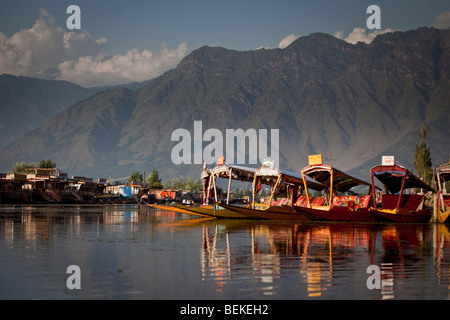 SRINAGAR, INDIA: shakaras colorati sono la tradizionale barca taxi che attendere per il trasporto dei turisti per barche casa su dal lago. Foto Stock