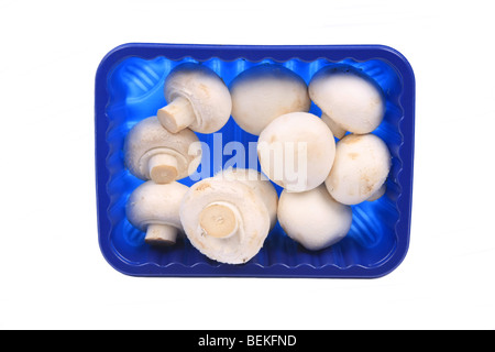 Un taglio-fuori dei funghi coltivati in un blu vassoio di plastica Foto Stock