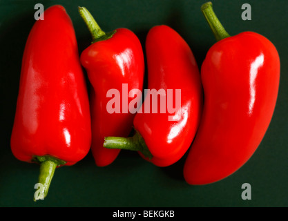 4 peperoncino rosso. Foto Stock