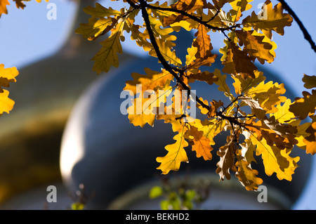 Foglie di quercia in autunno a Novodevichy monastero a Mosca Foto Stock