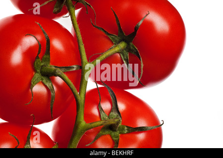 Pomodori isolato su un puro sfondo bianco Foto Stock