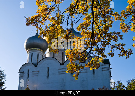 Foglie di quercia in autunno a Novodevichy monastero a Mosca Foto Stock