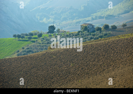 Casa singola su una collina Foto Stock