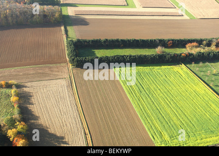 I campi, praterie e superficie boschiva dall'aria in autunno, valle di Demer, Belgio Foto Stock