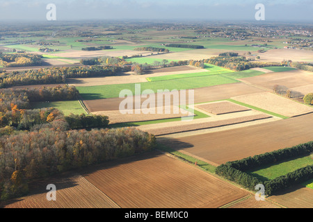 I campi, praterie e superficie boschiva dall'aria in autunno, valle di Demer, Belgio Foto Stock