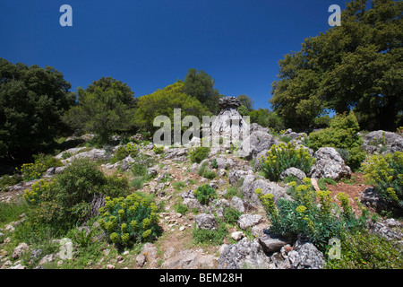 Vecchia casa ristrutturata in 'Sun' Portiscra nel Supramonte di Urzulei, il Gennargentu e Golfo di Orosei Parco Nazionale, Sardegna, Italia Foto Stock