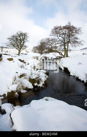 Una vista di Burbage Brook nella neve sul Longshaw tenuta vicino a Hathersage in Peak District nel Derbyshire Foto Stock