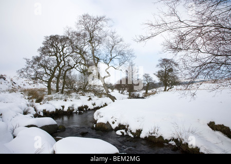 Una vista di Burbage Brook nella neve sul Longshaw tenuta vicino a Hathersage in Peak District nel Derbyshire Foto Stock