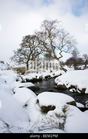 Una vista di Burbage Brook nella neve sul Longshaw tenuta vicino a Hathersage in Peak District nel Derbyshire Foto Stock