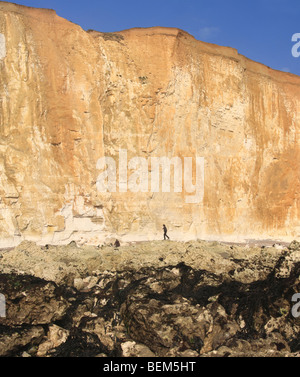 Alte scogliere a Peacehaven, REGNO UNITO Foto Stock