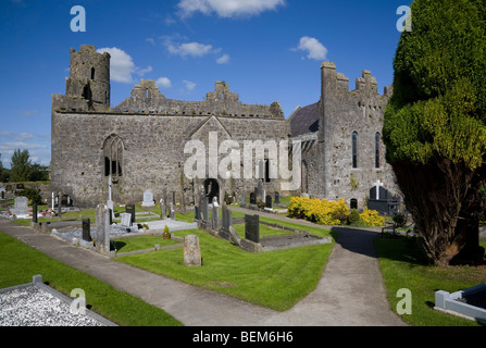 Killmallock xiii secolo Chiesa Collegiata, co limerick, Irlanda Foto Stock