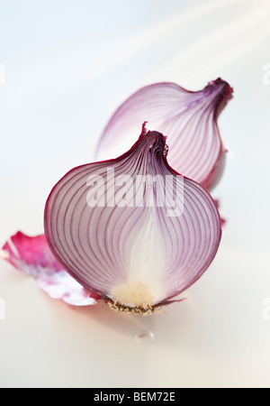 Le cipolle rosse Foto Stock