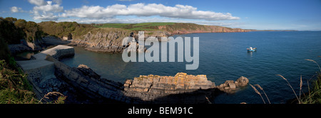 Vista panoramica ad est da Stackpole Quay Pembrokeshire, West Wales UK. Foto Stock