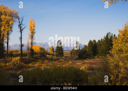Grand Teton range, il Parco Nazionale del Grand Teton, Wyoming USA Foto Stock