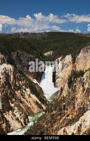Le cascate Inferiori, Canyon Village, il Parco Nazionale di Yellowstone, Wyoming USA Foto Stock