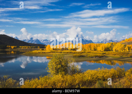 Lanca di flettersi in corrispondenza di sunrise, Snake River, Grand Teton NP,Wyoming, STATI UNITI D'AMERICA Foto Stock