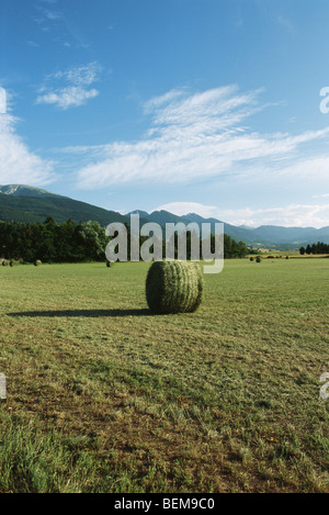 Balla di fieno sul campo, Cerdanya, Pirenei, Spagna Foto Stock