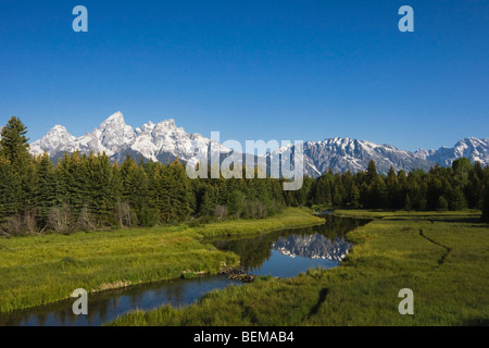 Grand Teton range e Beaver Dam, Snake River, Grand Teton National Park, Wyoming USA Foto Stock