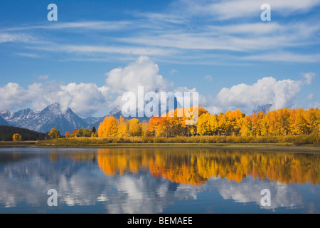 Lanca di flettersi in corrispondenza di sunrise, Snake River, Grand Teton NP,Wyoming, STATI UNITI D'AMERICA Foto Stock