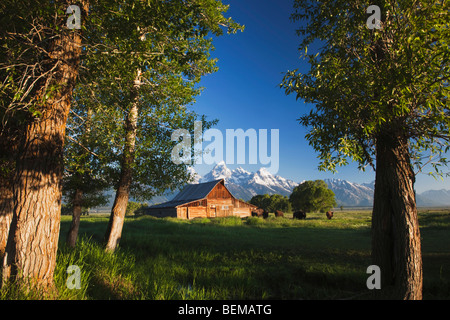 Il vecchio fienile in legno e Grand Teton range, Antelope Flats, Grand Teton NP,Wyoming, STATI UNITI D'AMERICA Foto Stock