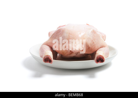 Il pollo crudo su piastra Foto Stock