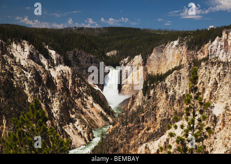 Le cascate Inferiori, Canyon Village, il Parco Nazionale di Yellowstone, Wyoming USA Foto Stock