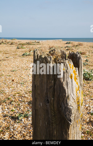 Un vecchio posto di legno, resti di 'Chailey Heritage Marine Hospital' vicino Newhaven, Sussex, Inghilterra, Regno Unito. Foto Stock