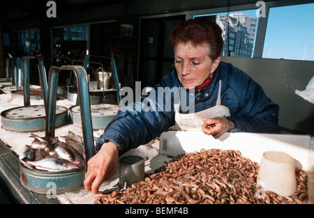 Donna di vendita del pesce e gamberetti al mercato del pesce, Ostenda, Belgio Foto Stock